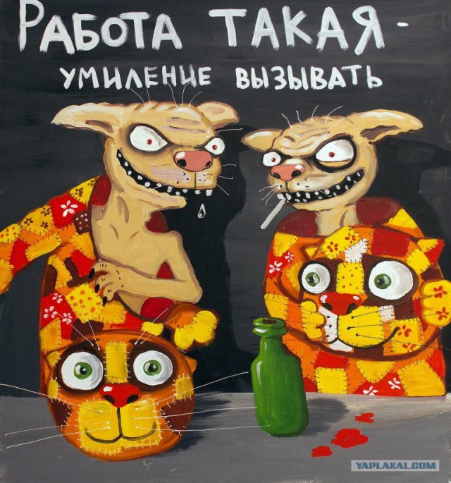 Ордынские коты настолько суровы...