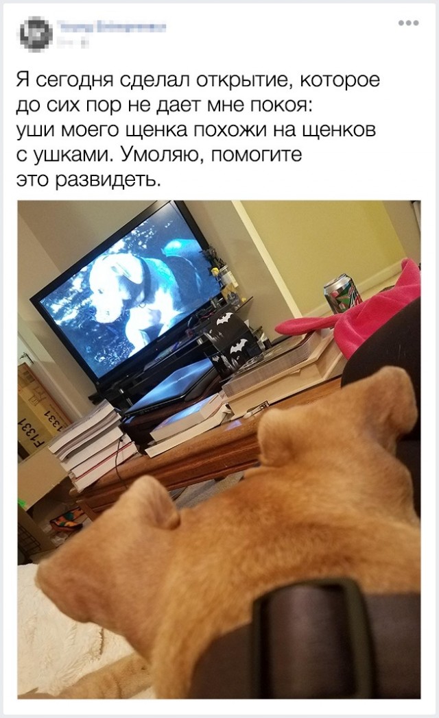 15 фактов от людей, чья наблюдательность граничит с гениальностью.