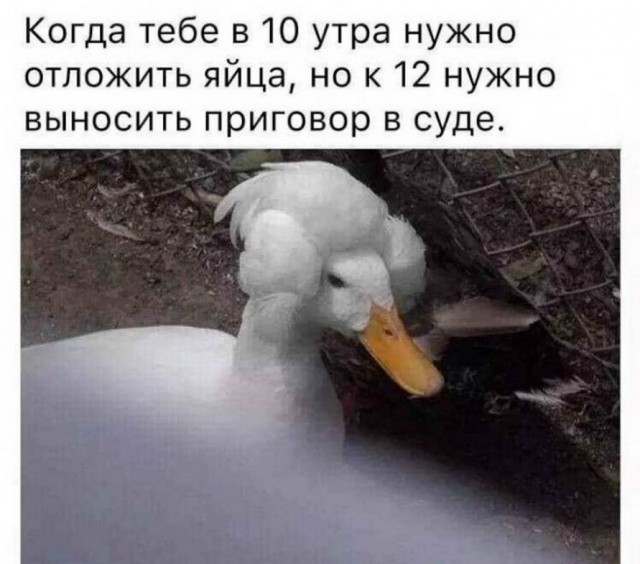 Аморалка