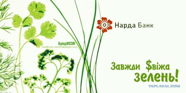 Креативный подход (16 фото)