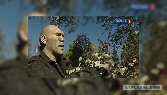 Самые удивительные феномены последнего десятилетия