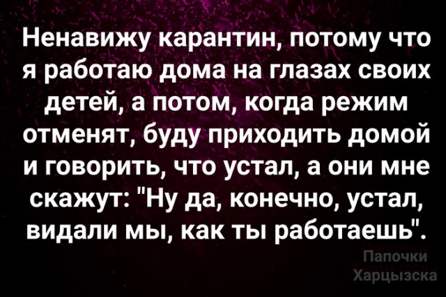 20 весёлых кадров обо всём для поднятия настроения