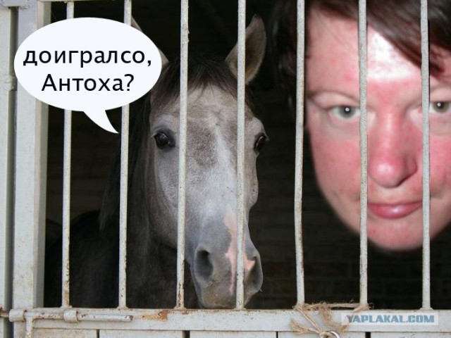 Фотожаба: Звонок в Стрим! Антон Уральский