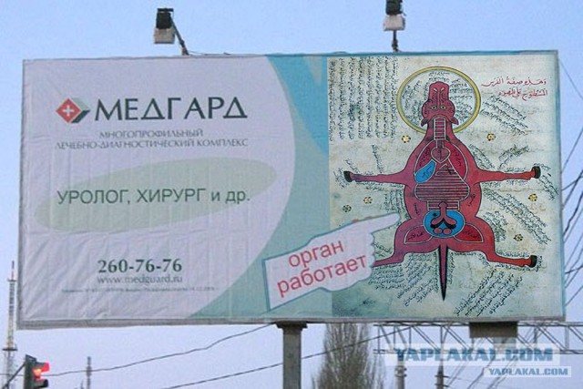 Орган работает! (8 фото)