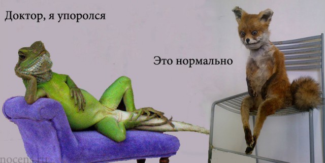 Боянистые картинки 22.12.20