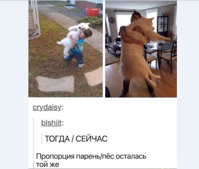 Бредзона 11.01.21