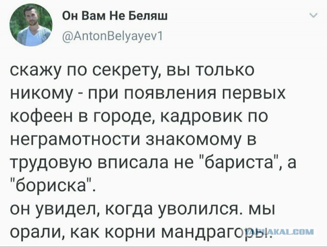 Свинегрет: картинки, надписи и прочее на 20.02.21 или №30