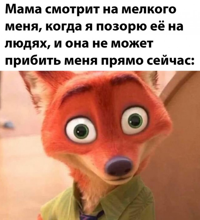 Весёлый полтишок 12.07