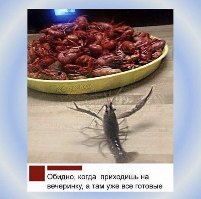 Так себе картинки 13.08.21