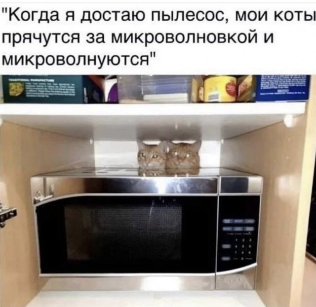 Так себе картинки 15.10.21