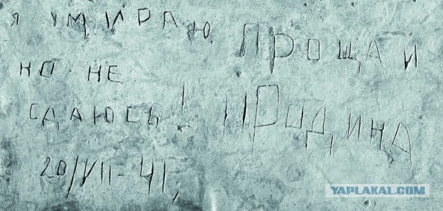 11 декабря — День памяти Русских воинов, погибших в Чечне.