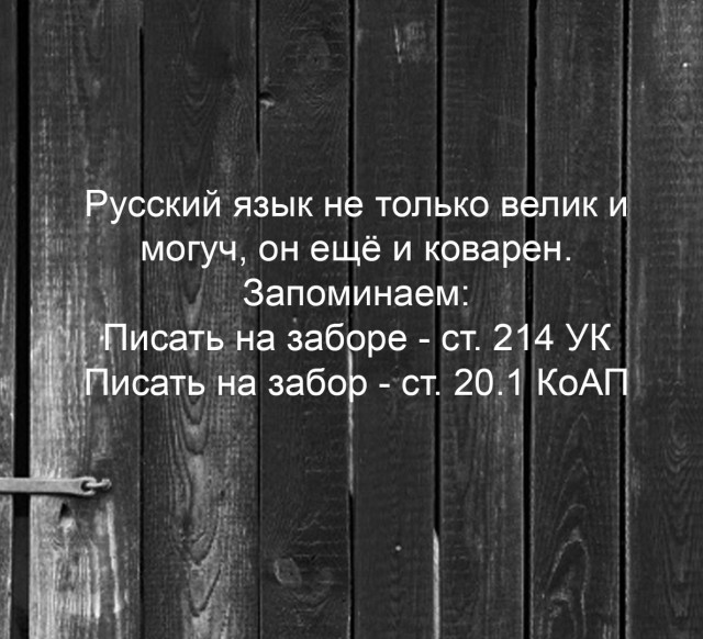 Чуток картинок 20.12.21