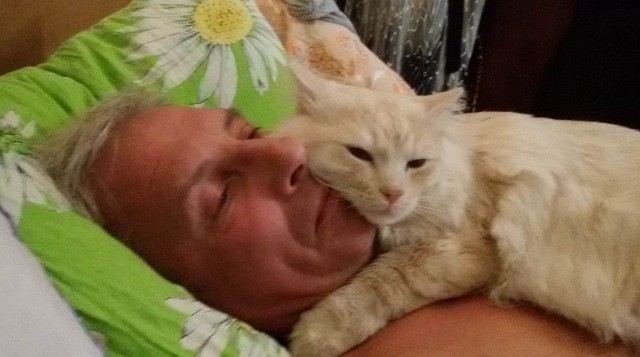 Кошка
