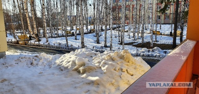 Холодная весна двадцать второго