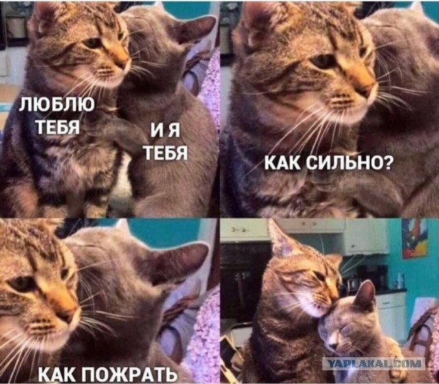 Немного пятничных и где то смешных картинок