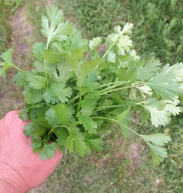 Брутальное задержание
