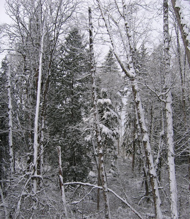 Деревенская Америка
