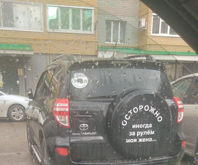 Автонадписей пост