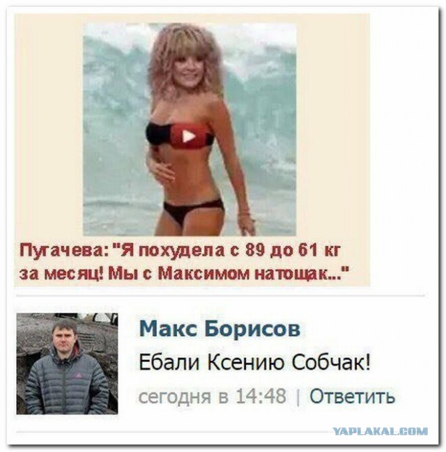 Преступнику, который вступил в интимную связь с лошадью, запретили приближаться к любому животному с копытами