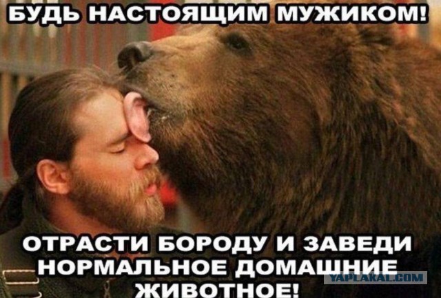 Это Россия
