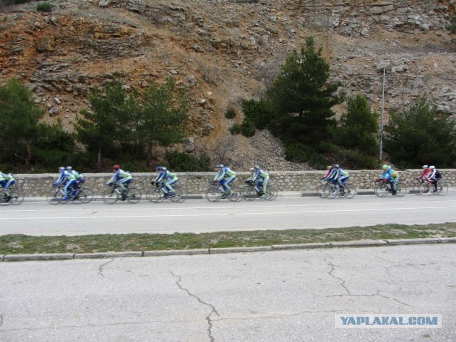 Крым в феврале или "Не стреляйте в белых лебедей!"