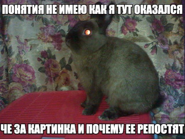 Забавные комментарии из социальных сетей (04.09.23)