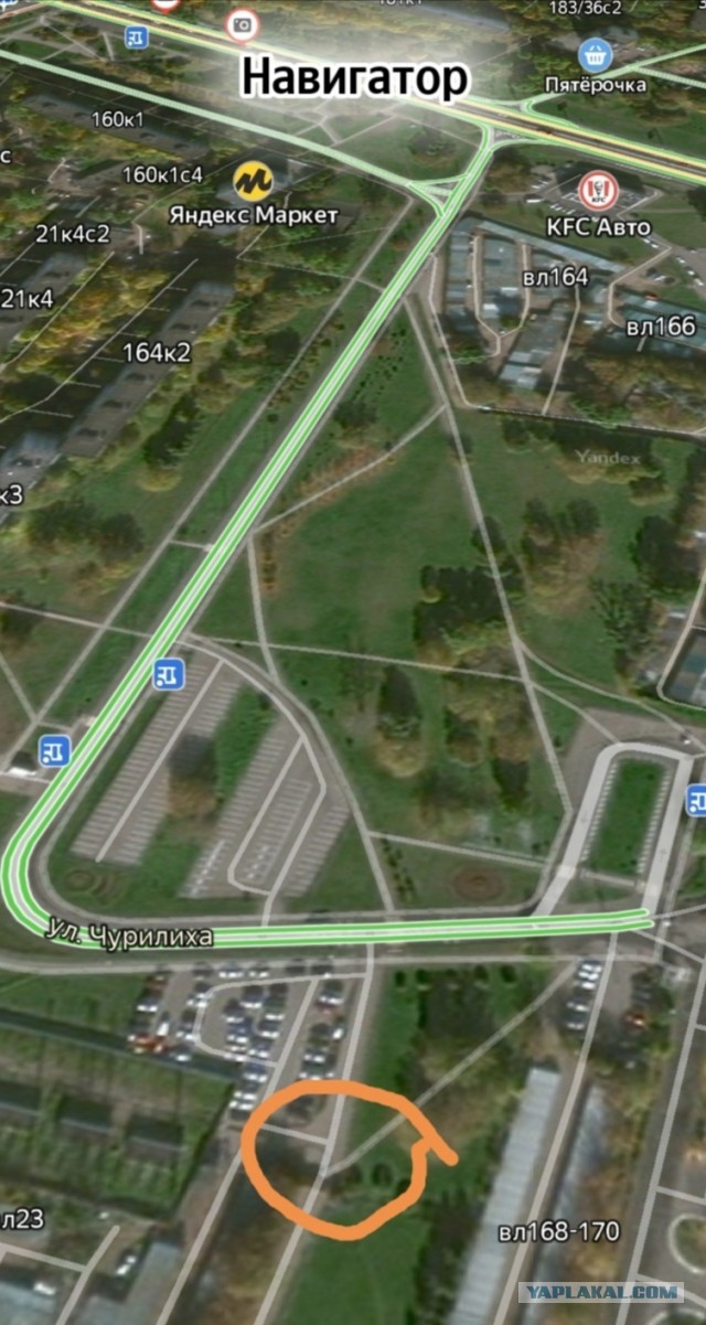 Волшебная страна