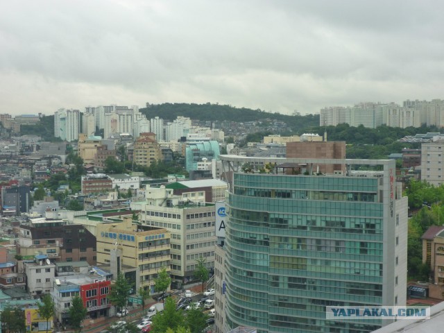 Тем временем в Южной Корее