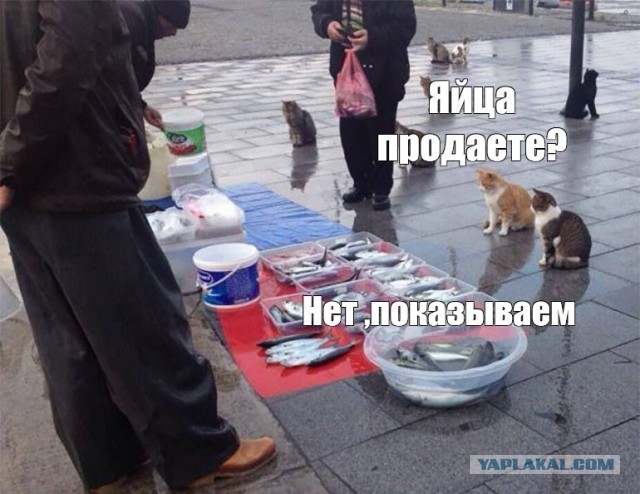 Очередь за яйцами в Саратове