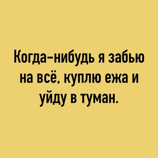 Так себе картинки 13.02.24