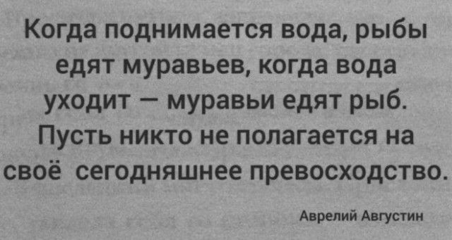 Трудные будни богомола
