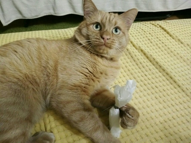 Сборник рассказов ЯПовских авторов. Обсуждение проблемы.