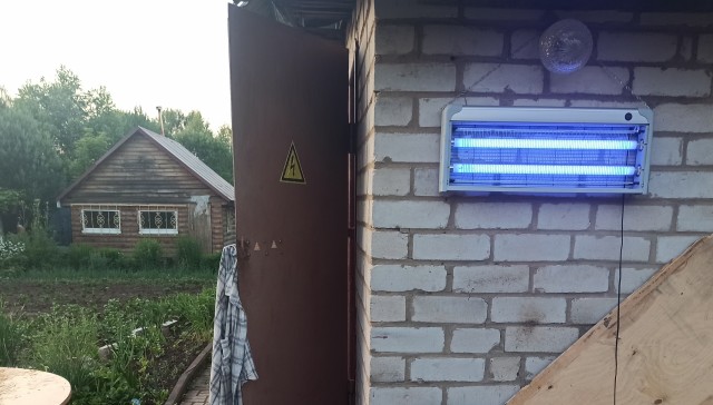 Когда включили электро мухобойку в помещении полном комаров