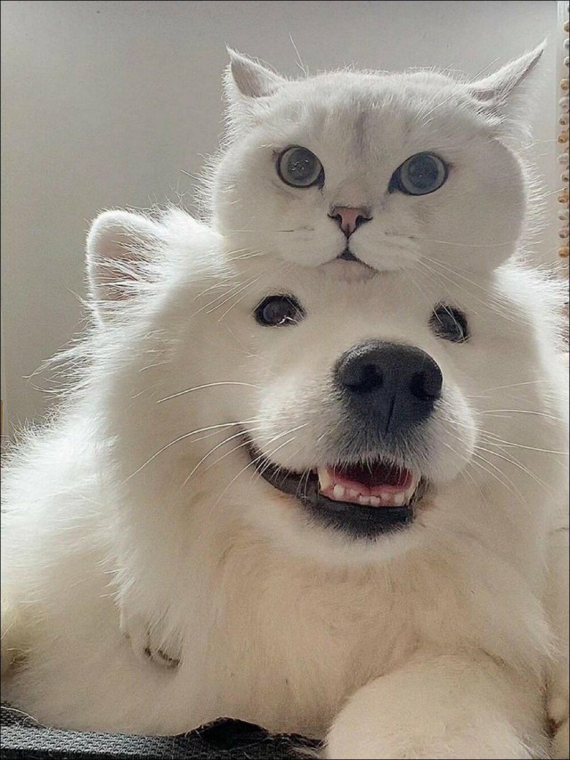 Просто фотографии