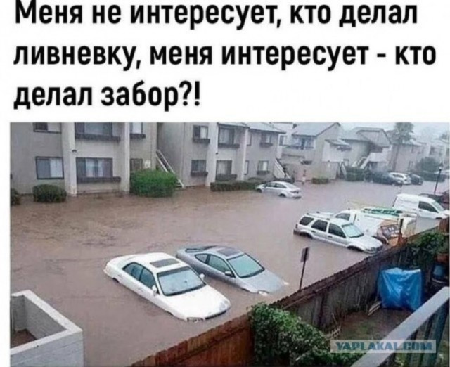 Так себе картинки 15.05.24