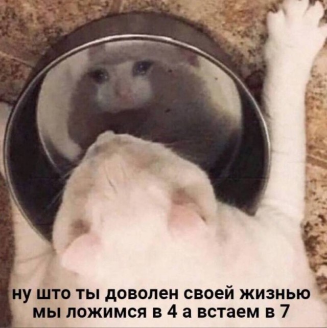Сборник бабаянов и т.д. и т.п.