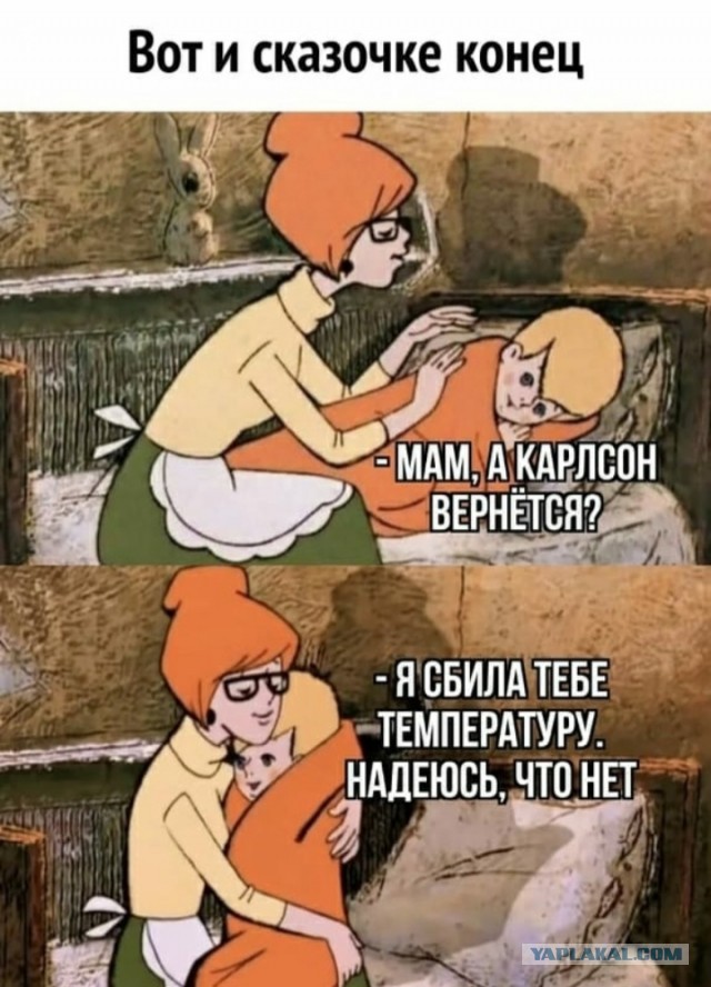 Весёлый полтишок 26.07.24