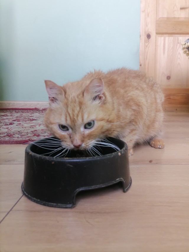 Вот и я стал рабом