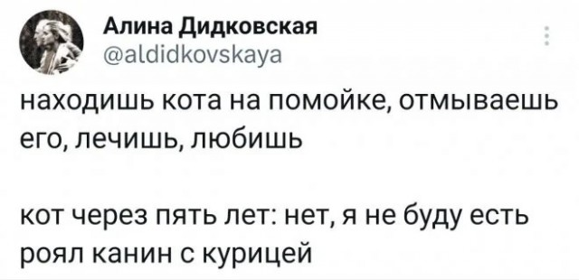Весёлый полтишок 27.08.24