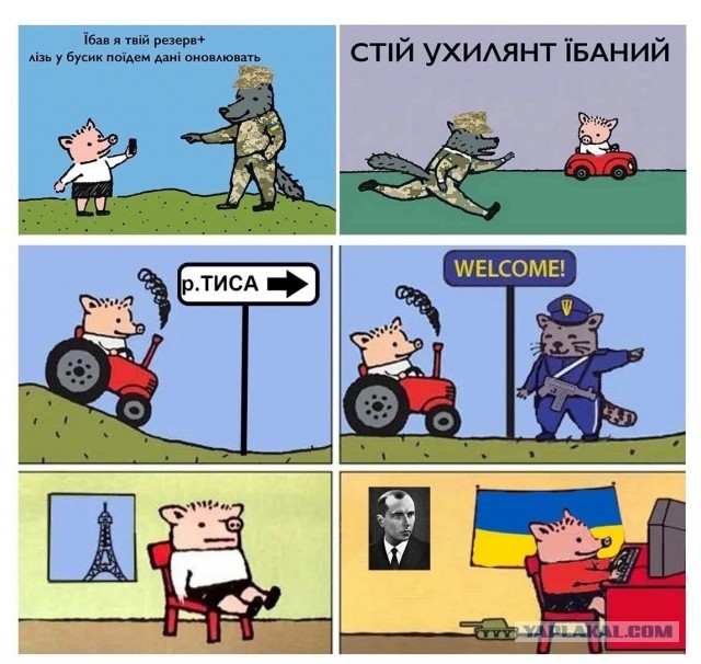 Потрясающе раскатала местного блохера