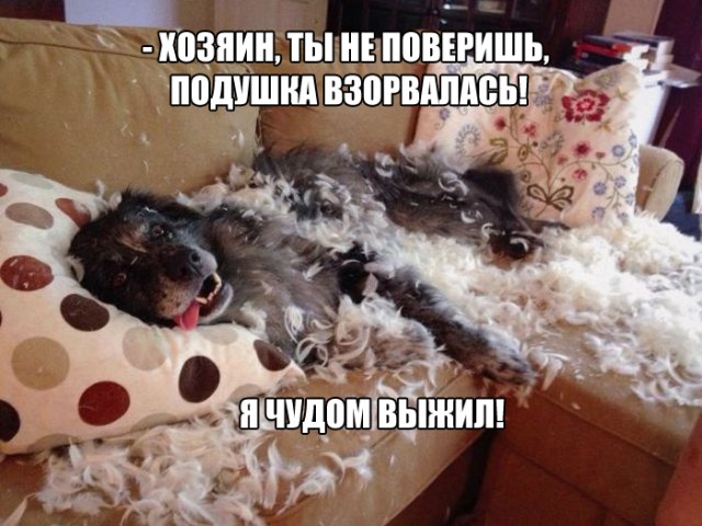 Завалялось тут случайно немного забавных картинок