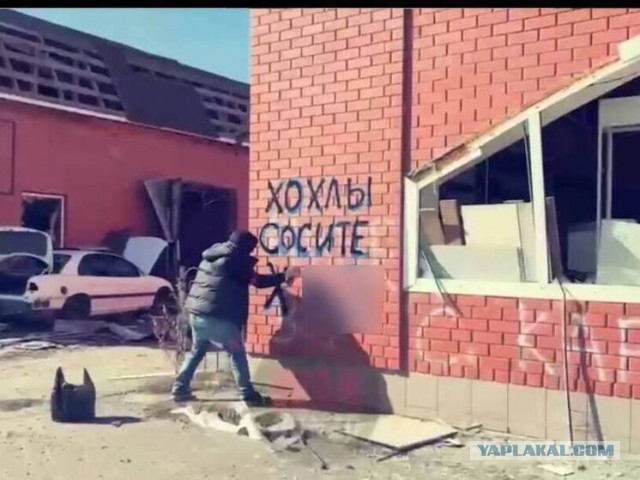 В Курской области пообещали оштрафовать музыканта Апачева за вандализм в Судже