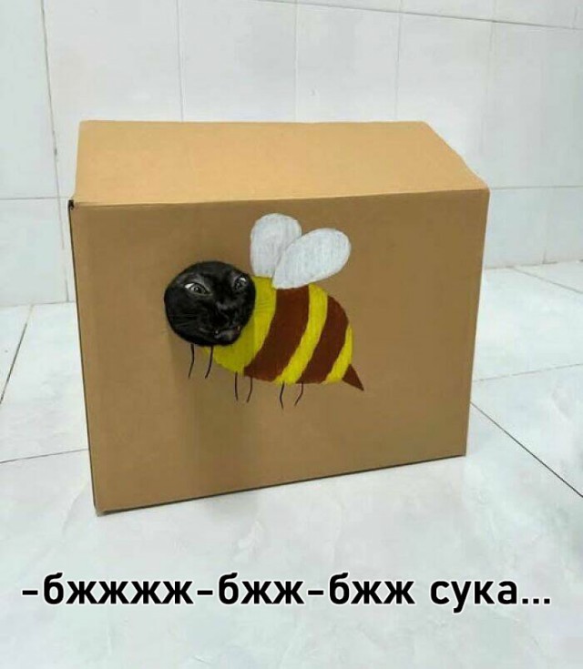 К котовторнику: подборка картинок-баянов с котиками и про котиков. Выпуск 8