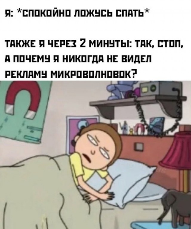 Веселые картинки в понедельник (02.06)