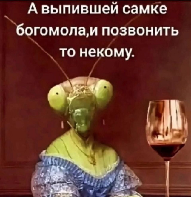 Картинки 26.08.25