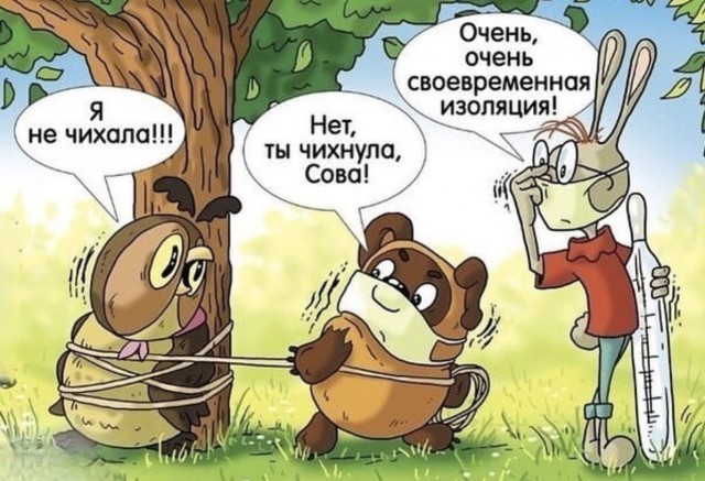 В Новороссийске мужчина ударил костылём чихуахуа, после чего её задавила машина
