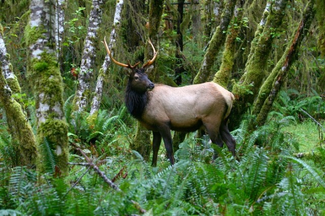 Не рискуйте своей безопасностью, не путешествуйте по Белоруссии. Возможно, вы никогда не вернётесь"