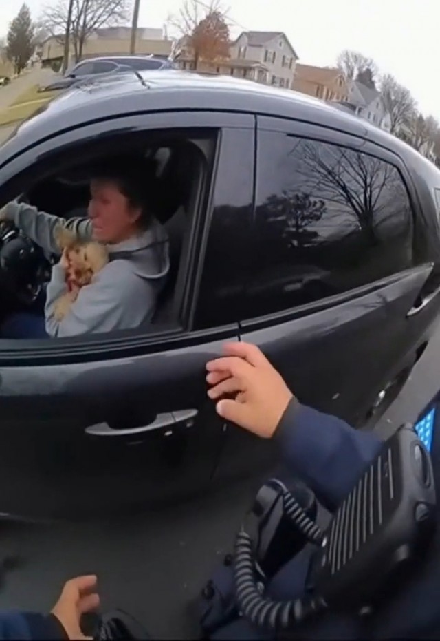 Полицейские в Америке спасли собаку