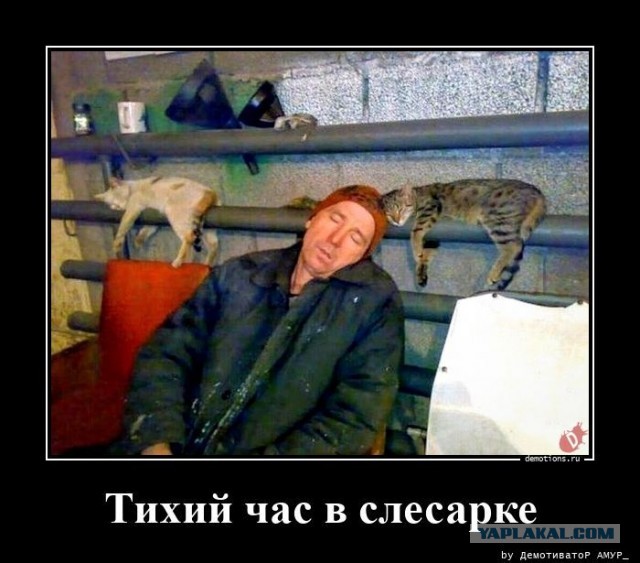 Паромное сообщение между Турцией и Россией возобновилось впервые за 14 лет