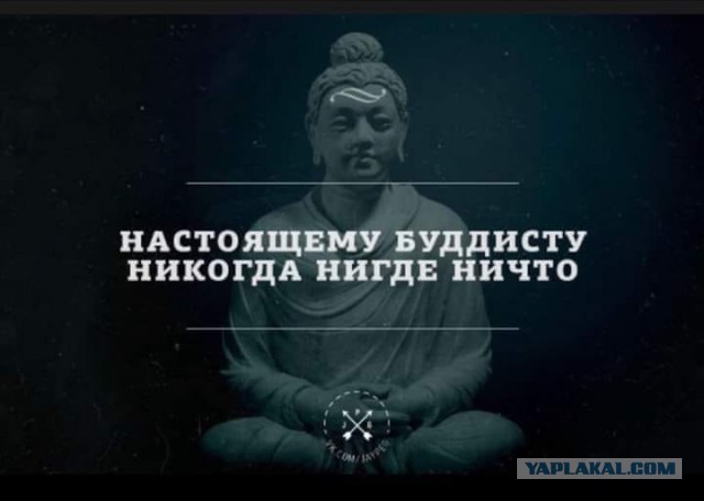 Так себе картинки 15.11.25